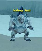 Iceberg Bear